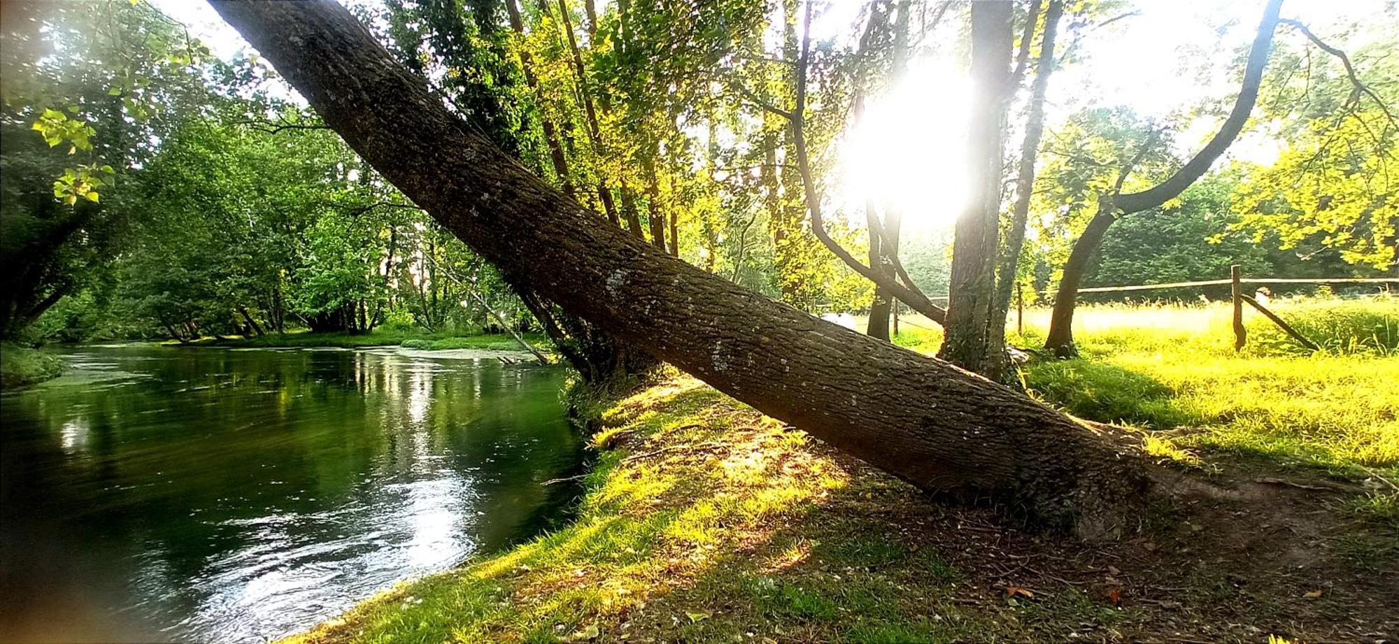 La Regina Del Bosco Rivignano Exterior foto