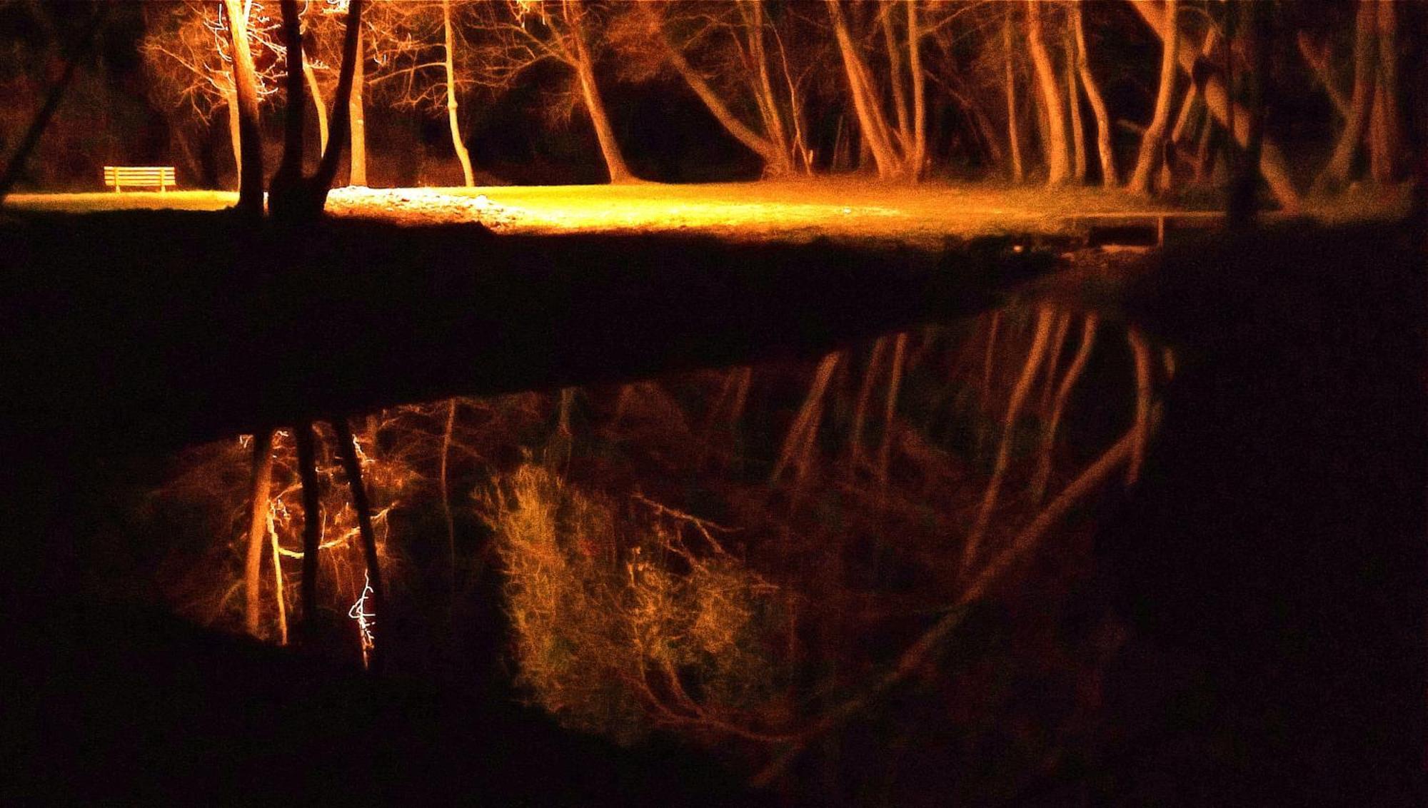 La Regina Del Bosco Rivignano Exterior foto